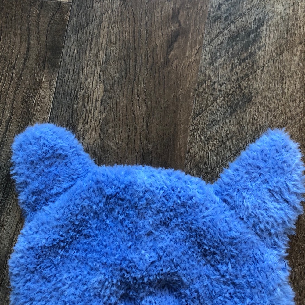 Aerie cat ear beanie